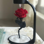 Gül Lambası 🌹