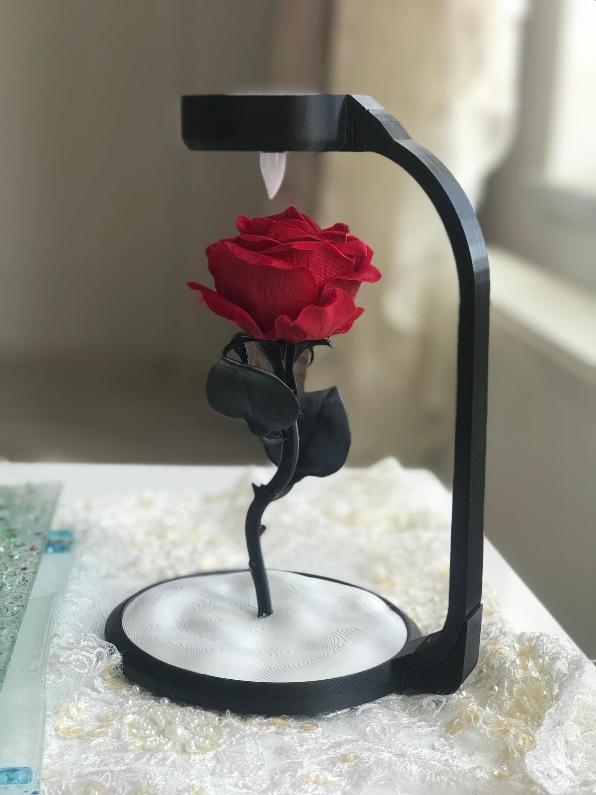 Gül Lambası 🌹