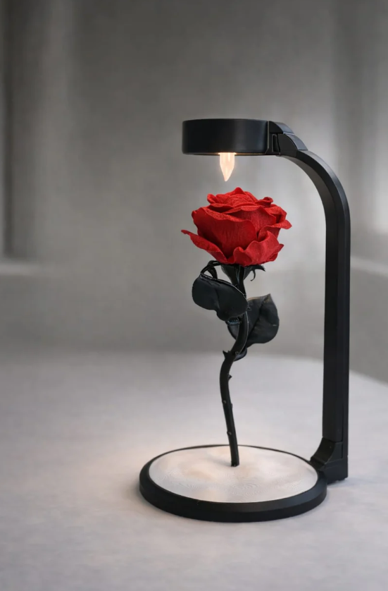 Gül Lambası 🌹