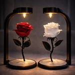Gül Lambası 🌹