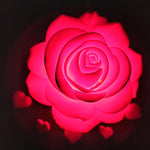 SOLMAYAN GÜL 🌹