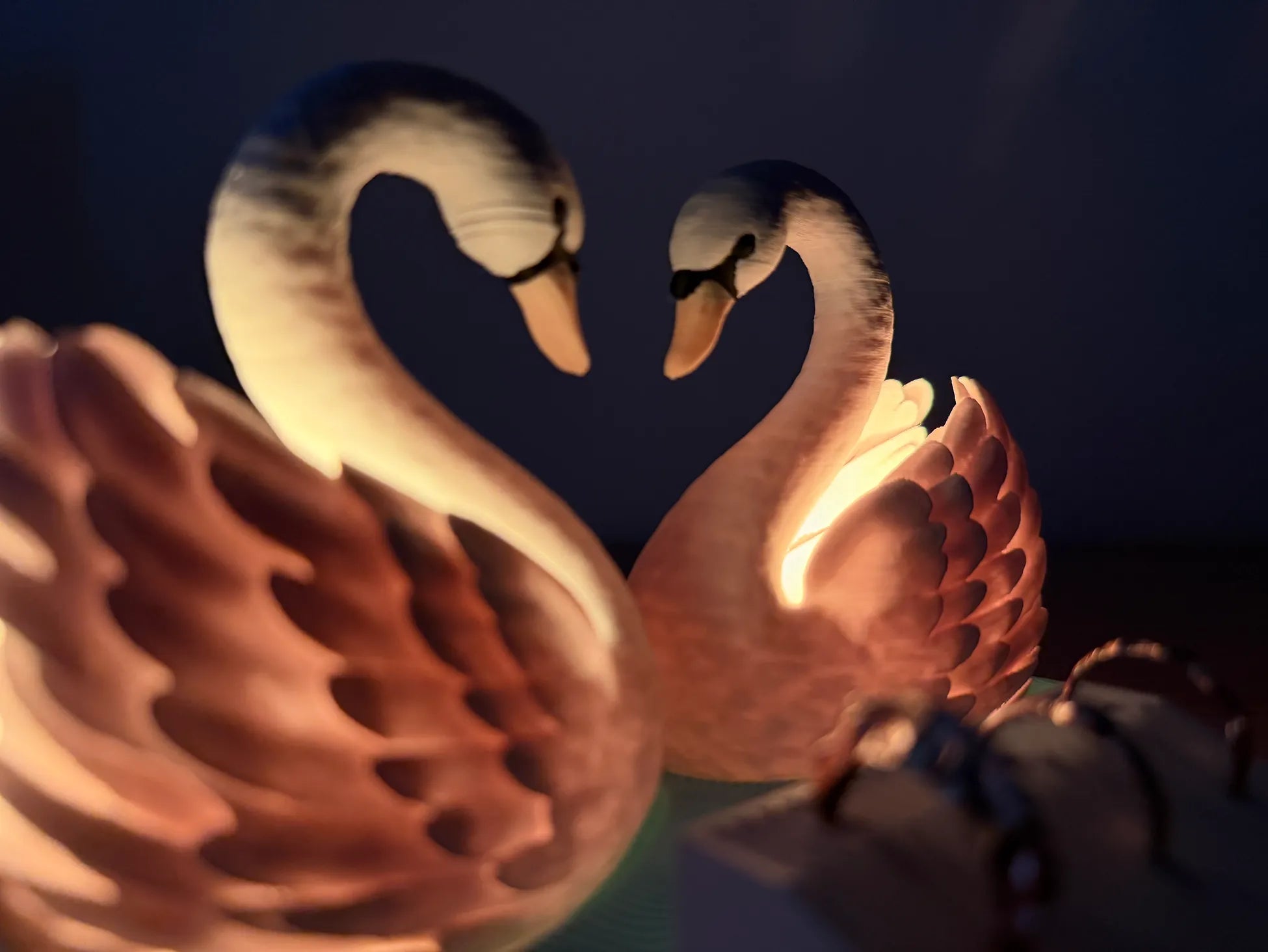 Aşkın Işığa Dönüşmüş Hali – Kalp Formlu Kuğu LED Lamba 🦢❤️