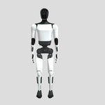 Tesla Bot Optimus Robot