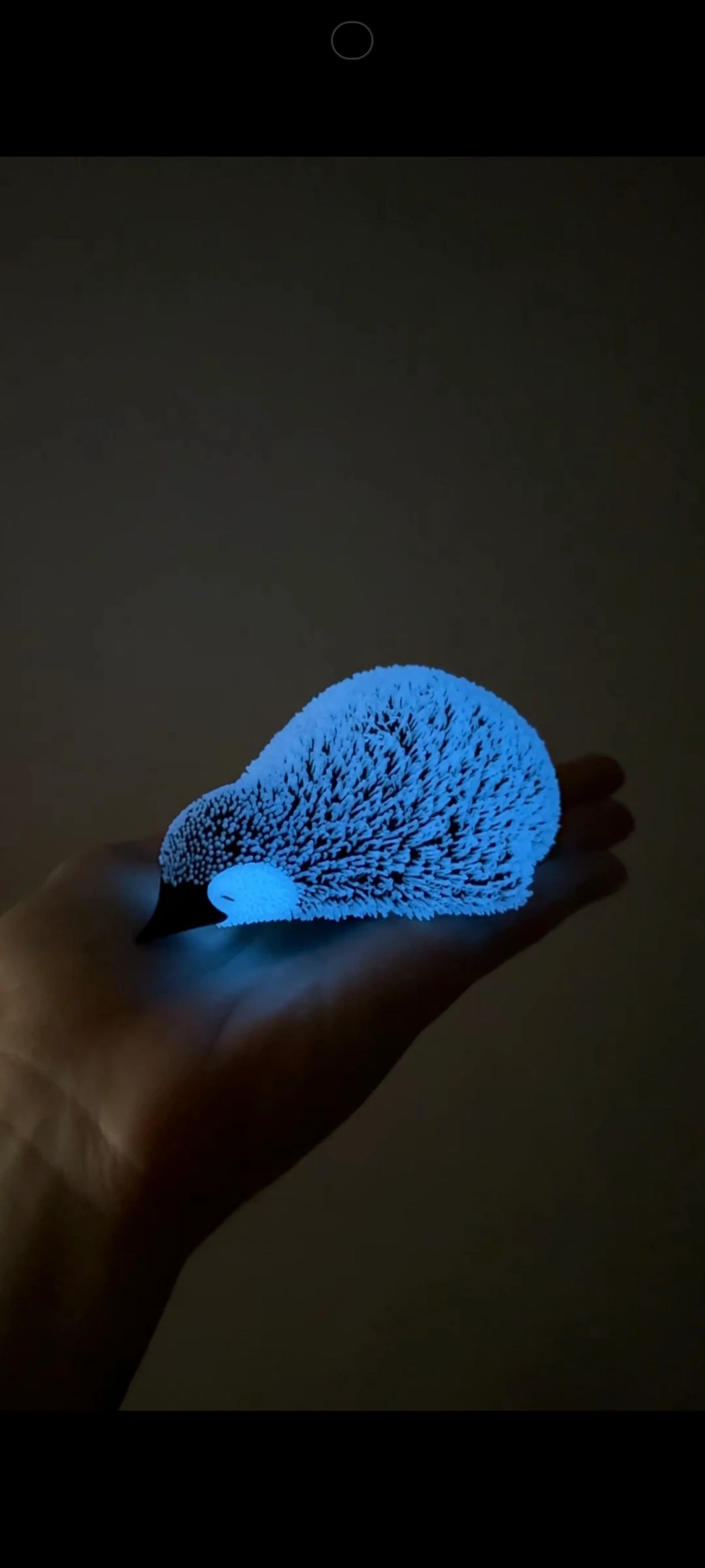 Işıklı Penguen Gece Lambası 🐧🐾🐧
