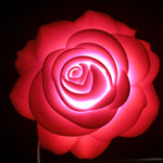 SOLMAYAN GÜL 🌹