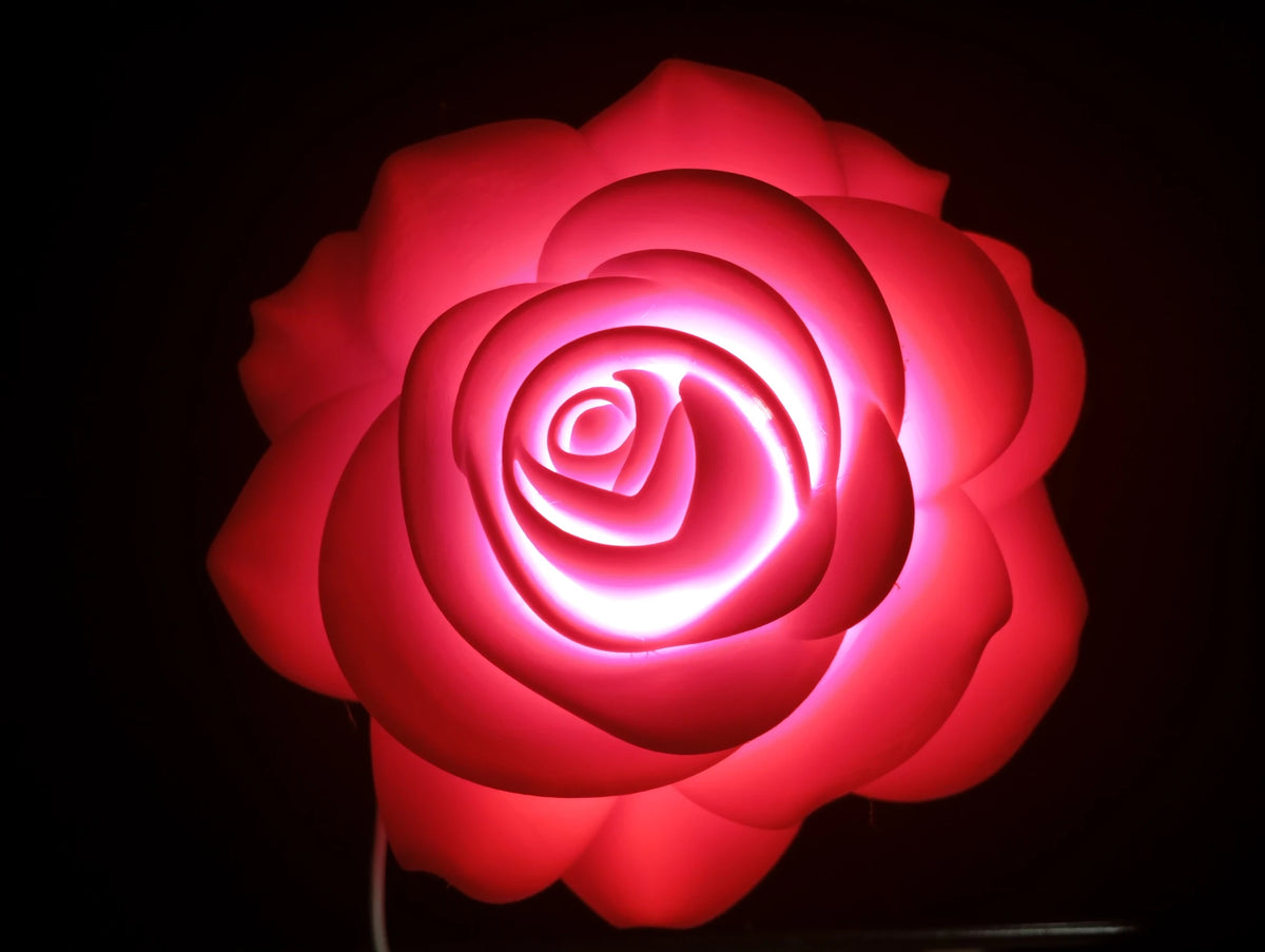 SOLMAYAN GÜL 🌹