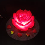 SOLMAYAN GÜL 🌹