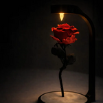 Gül Lambası 🌹