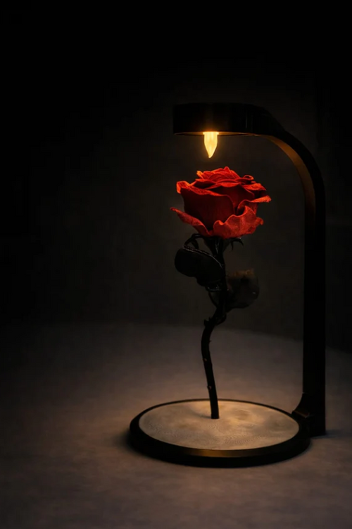 Gül Lambası 🌹