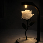 Gül Lambası 🌹