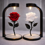 Gül Lambası 🌹